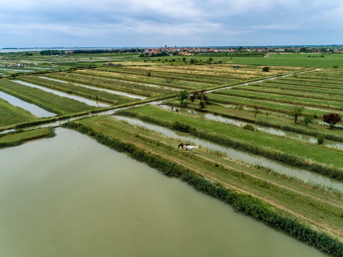 Agriturismo Valle Ca' Del Lovo Carlino Eksteriør billede